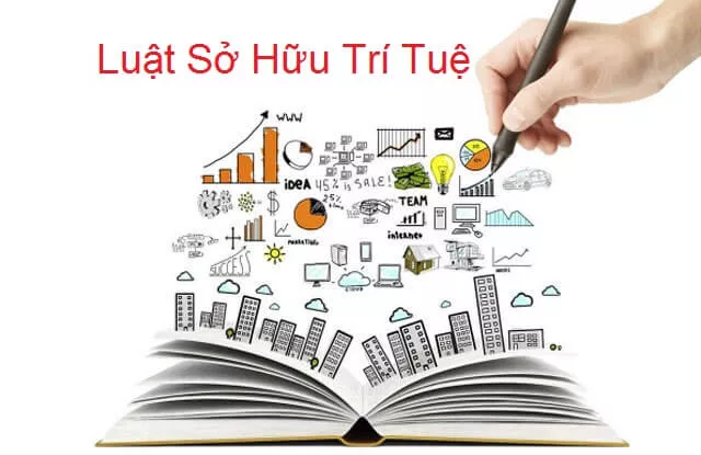 Bài viết
