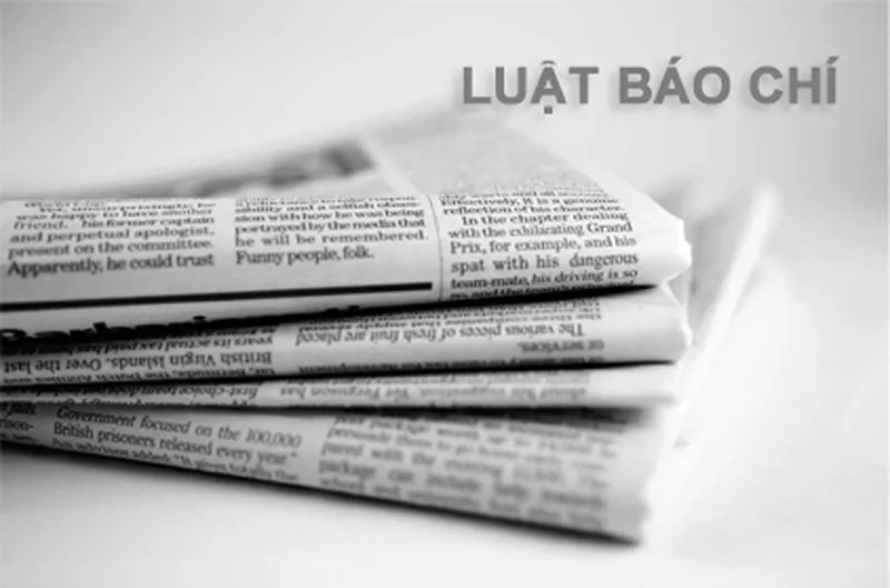 Bài viết