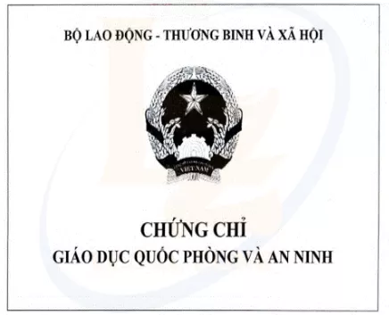Bài viết