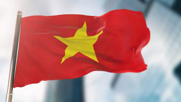 Bài viết