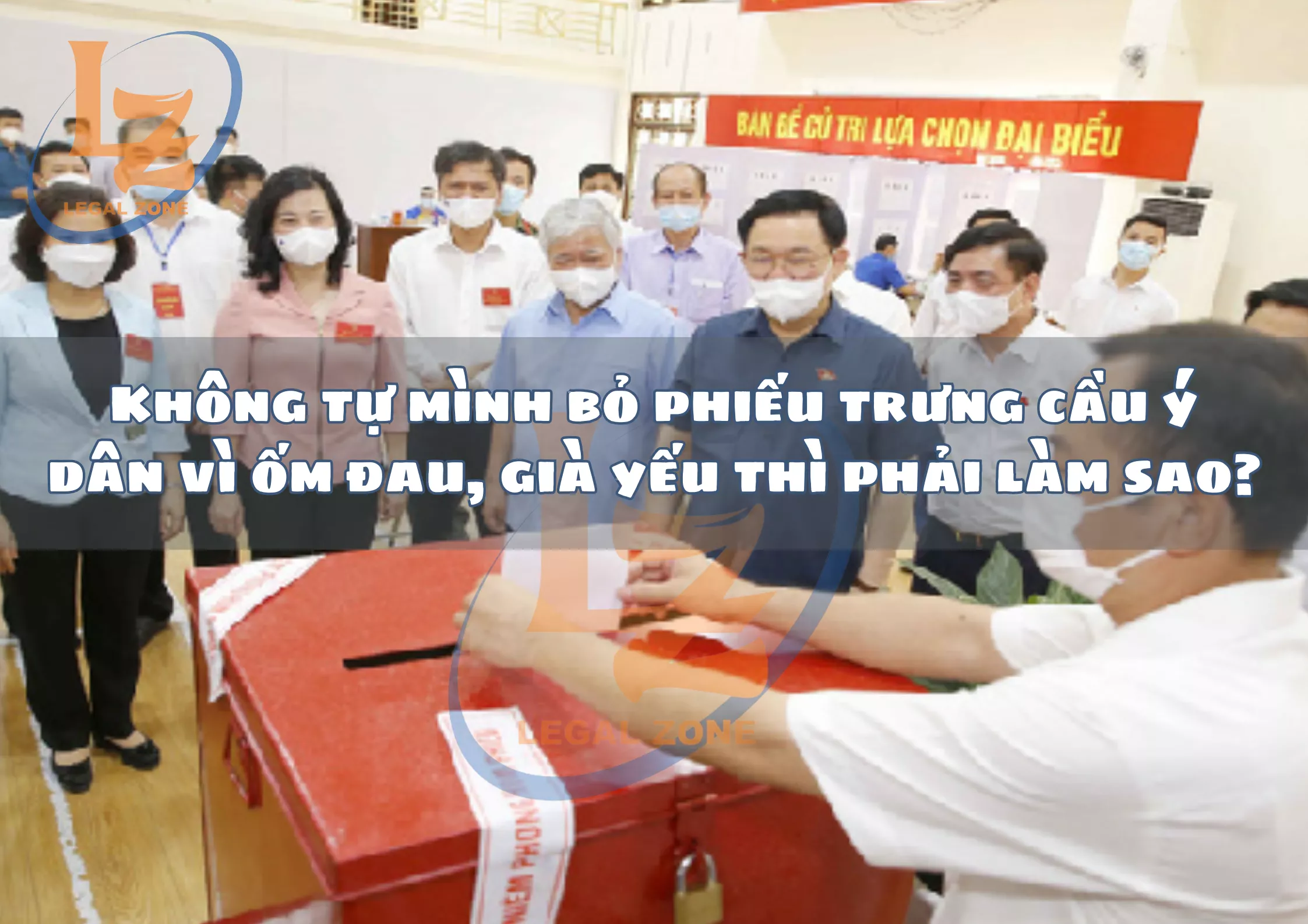 Bài viết